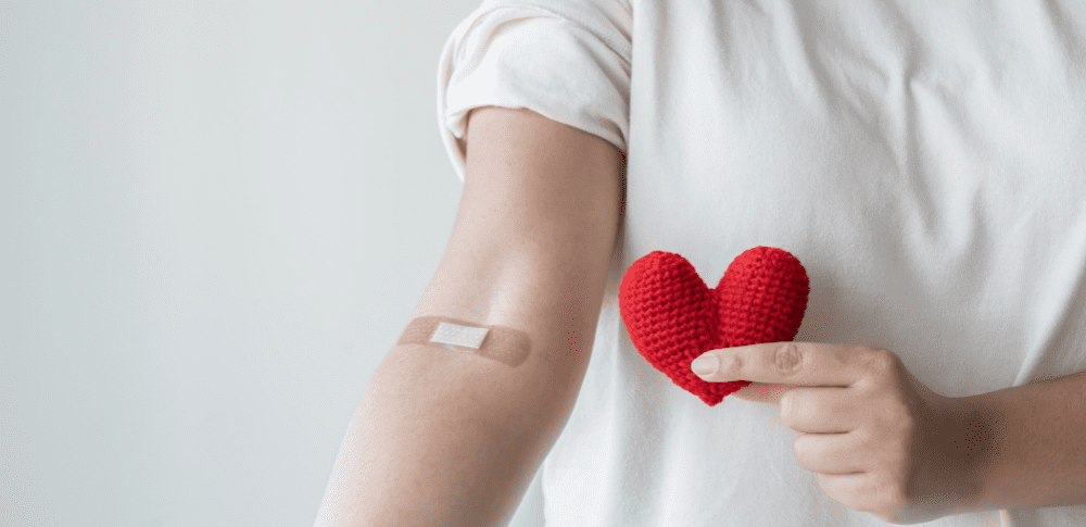 Julho Vermelho: o que você precisa saber para doar sangue